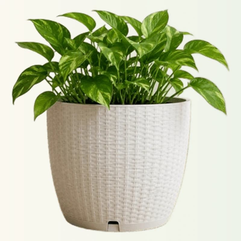 12 Inch Premium Planter