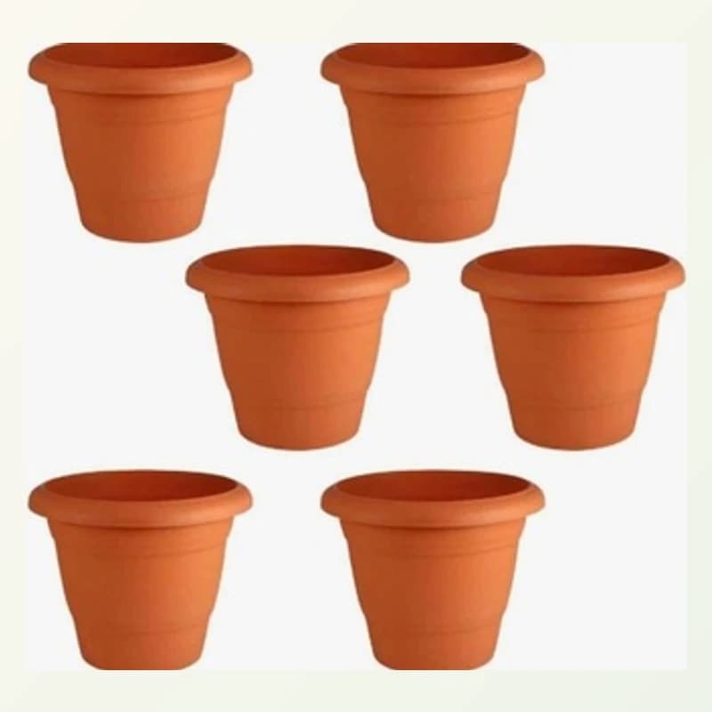 Set of 6 (6 inch pots)