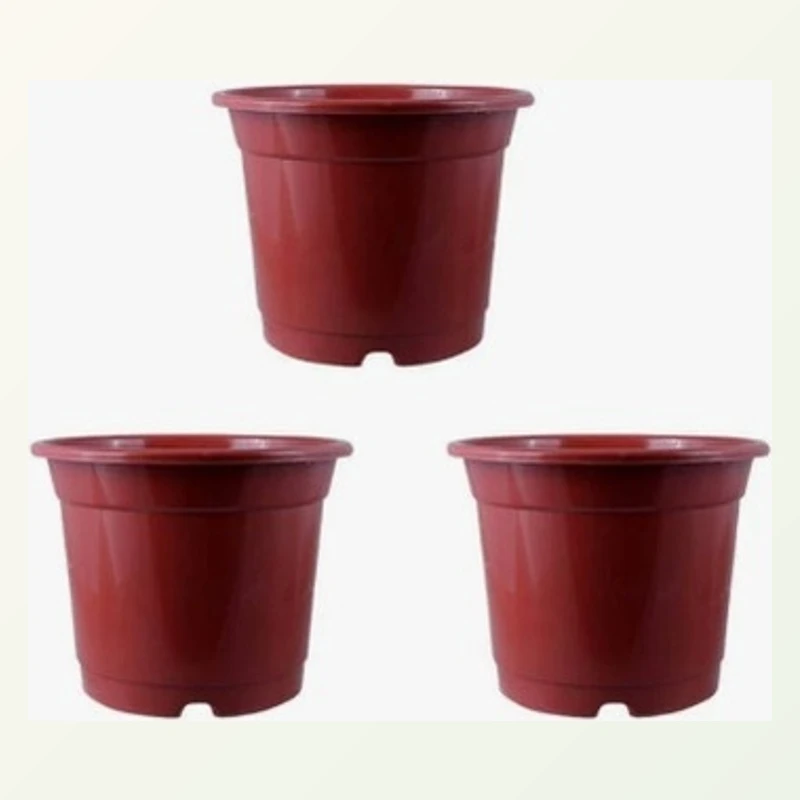 Set of 3 (8 inch pots)