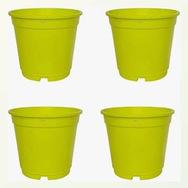 Set of 4 (6 inch pots)